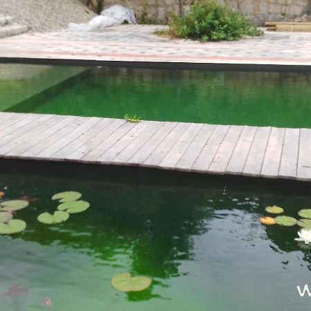 Gite Les Cabanes De Fallot Pour 15 Personnes - Piscine Naturelle L'isle-Bouzon ภายนอก รูปภาพ
