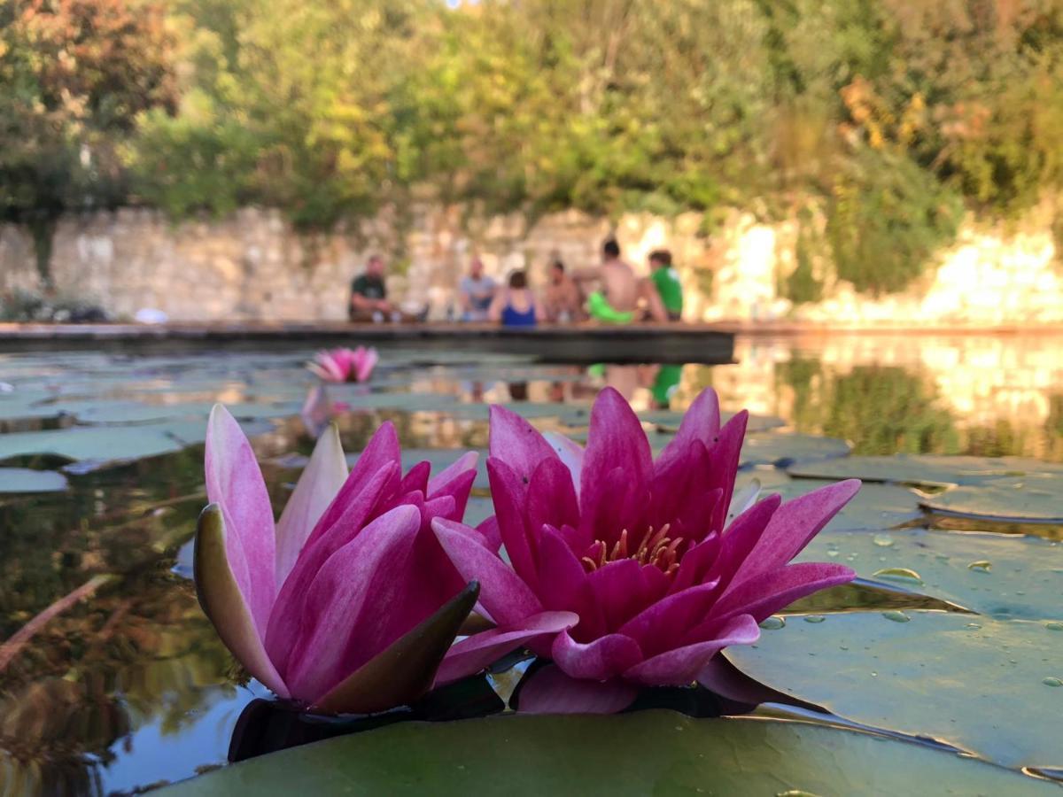 Gite Les Cabanes De Fallot Pour 15 Personnes - Piscine Naturelle L'isle-Bouzon ภายนอก รูปภาพ